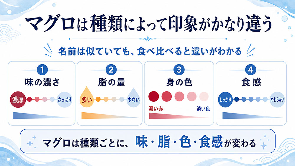 マグロの種類ごとの味の特徴と違い