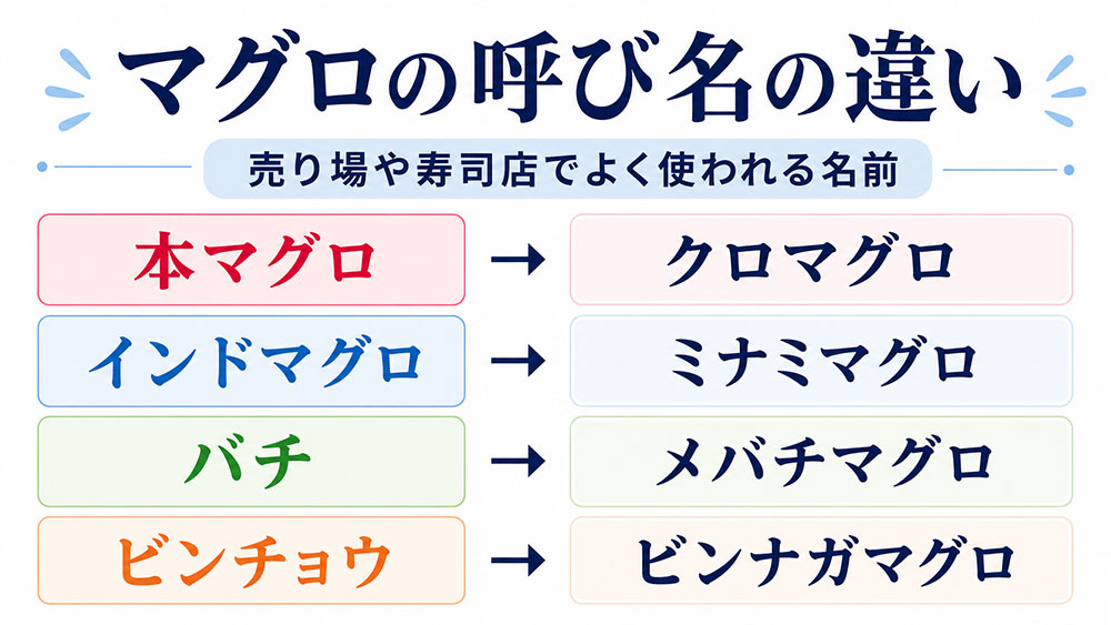 本マグロ・インドマグロ・バチ・ビンチョウなど呼び名の違い
