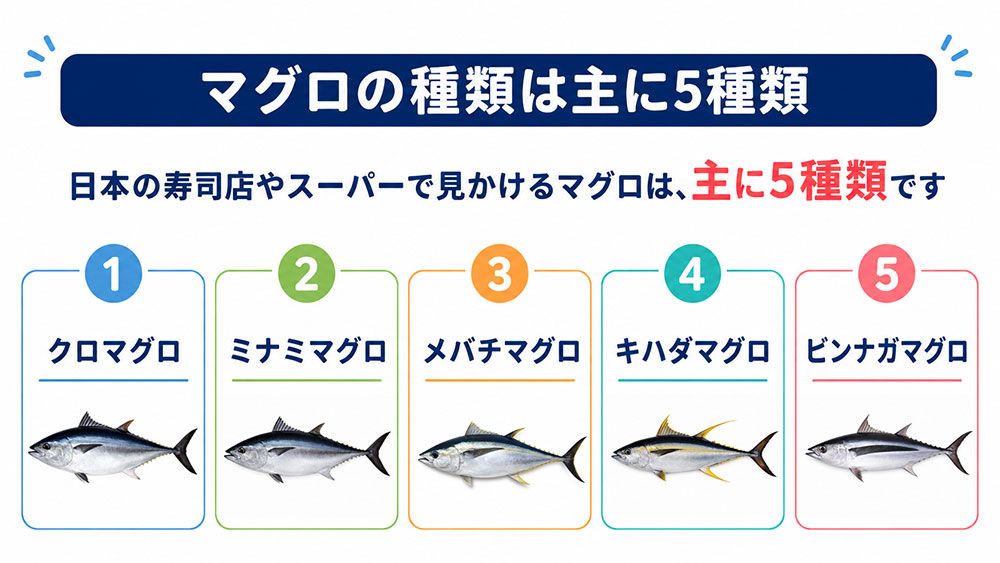 マグロの種類は主に5種類｜まず違いを一覧で比較