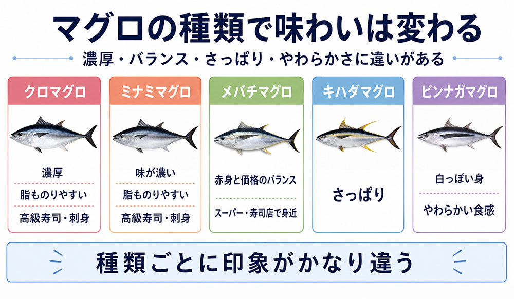 クロマグロ・ミナミマグロ・メバチマグロ・キハダマグロ・ビンナガマグロの違い