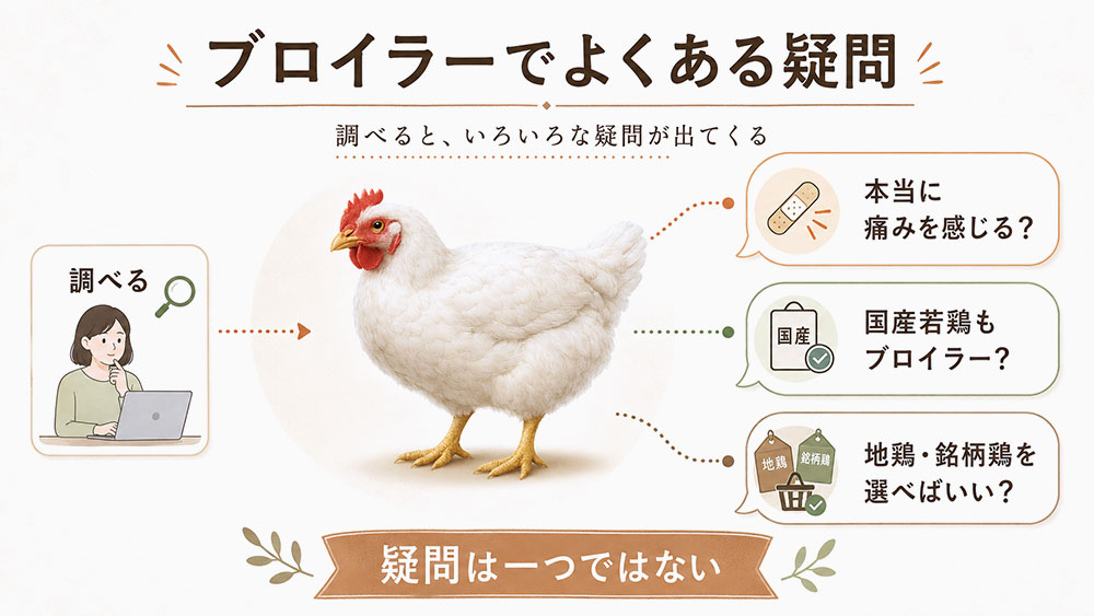 ブロイラーがかわいそうに関するよくある疑問