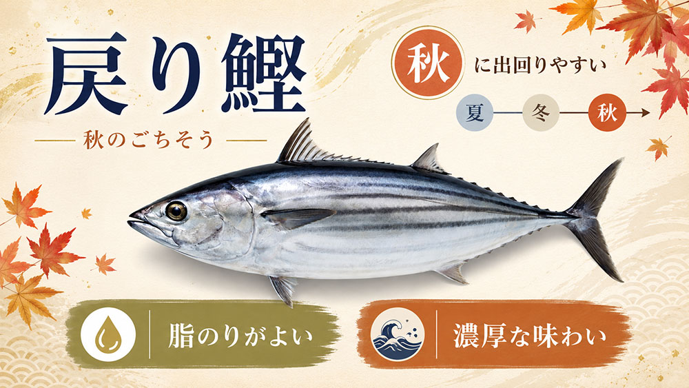 戻り鰹は秋に獲れる脂ののった鰹