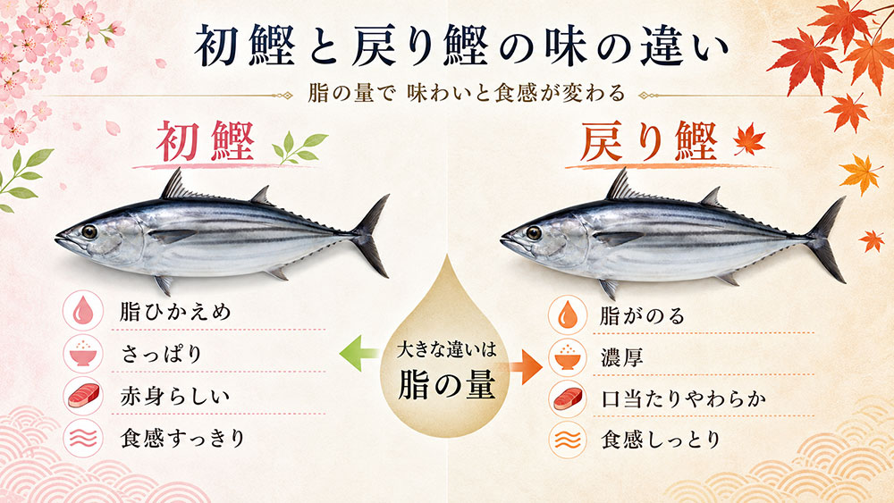 初鰹と戻り鰹の味わいや身質の違い