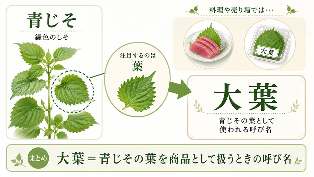 大葉は青じその葉を指す流通上の呼び名
