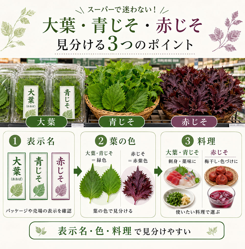 スーパーで迷わない大葉・青じそ・赤じその見分け方