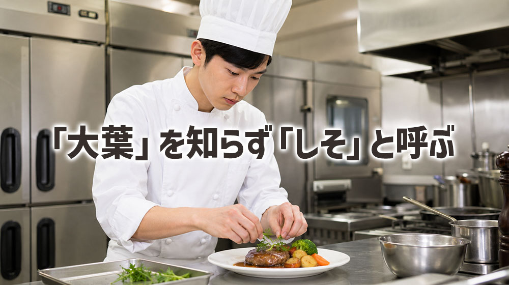 新人スタッフが「大葉」を知らず「しそ」と呼ぶことは珍しくない