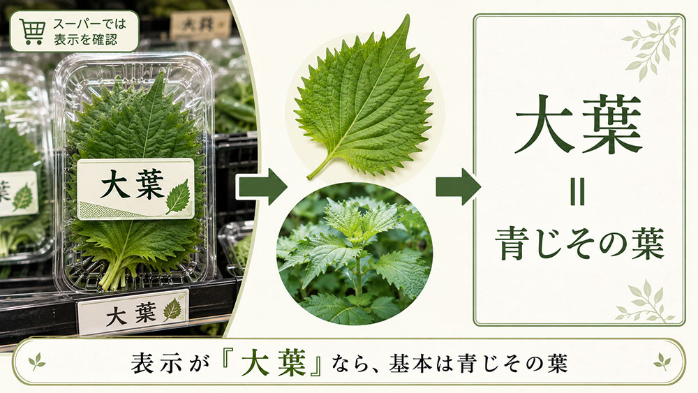「大葉」と表示されているものは青じその葉