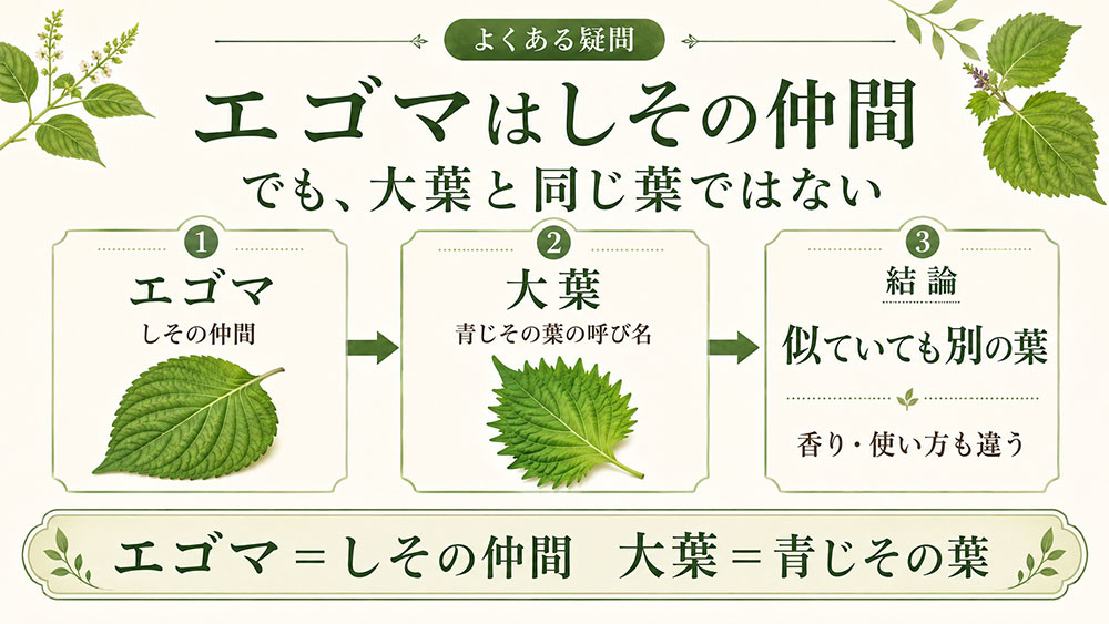 エゴマはしその仲間だが、大葉とは別の葉