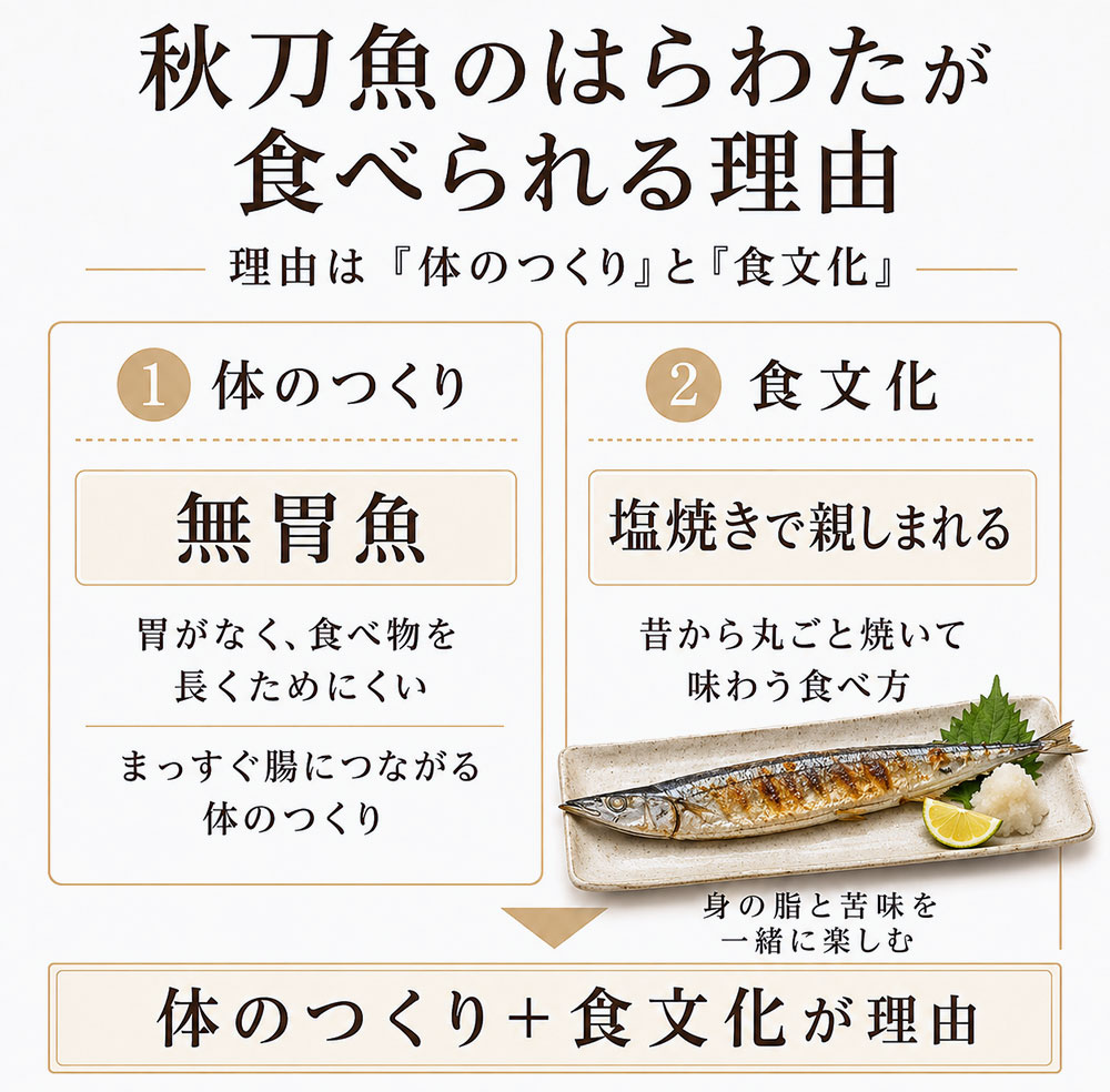 秋刀魚のはらわたが食べられる理由