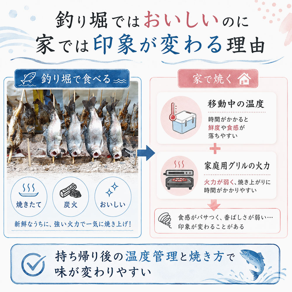 釣り堀のニジマスを家で食べるとそれほどおいしく感じない理由