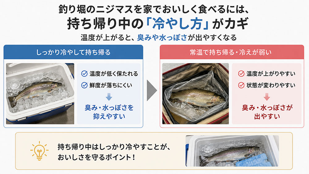 持ち帰るまでの冷やし方で臭みと水っぽさが変わる