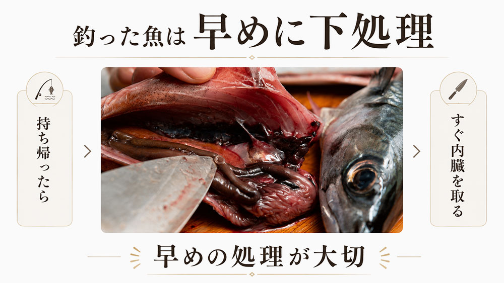 帰宅後はできるだけ早く内臓を取り除く