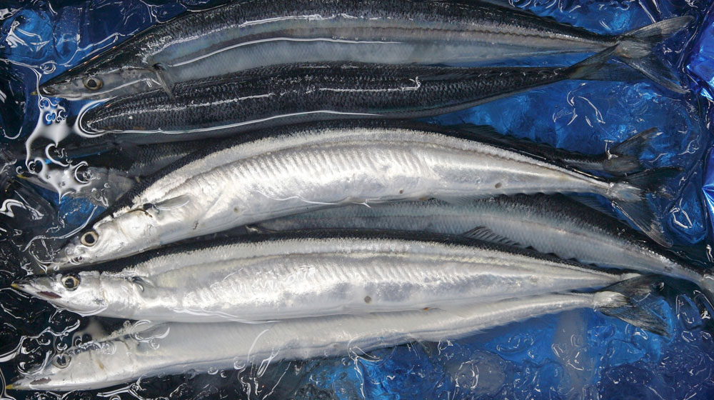 新鮮な魚を選び、早めに内臓を取り除く