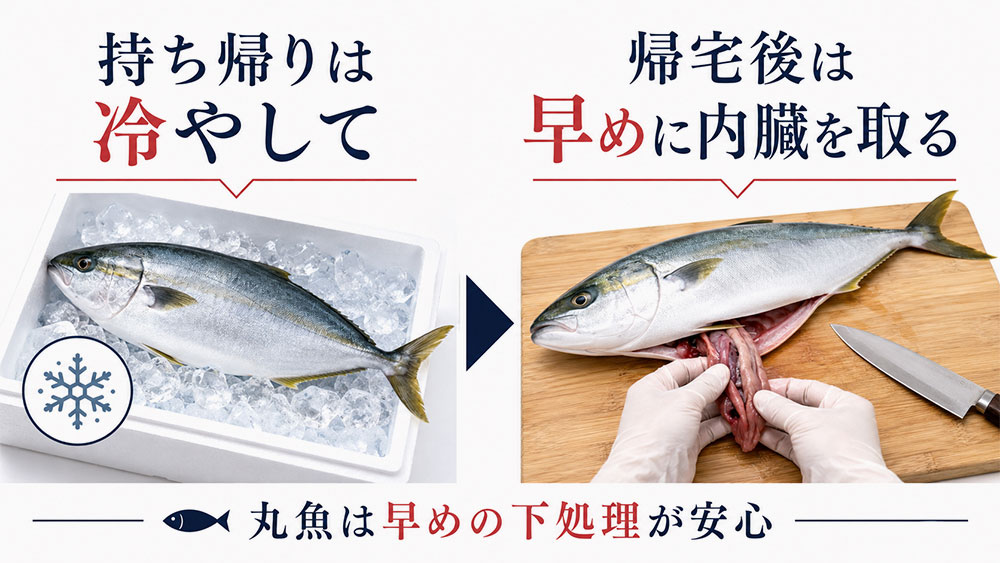 丸魚を買ったら早めに内臓を取り除くことが大切