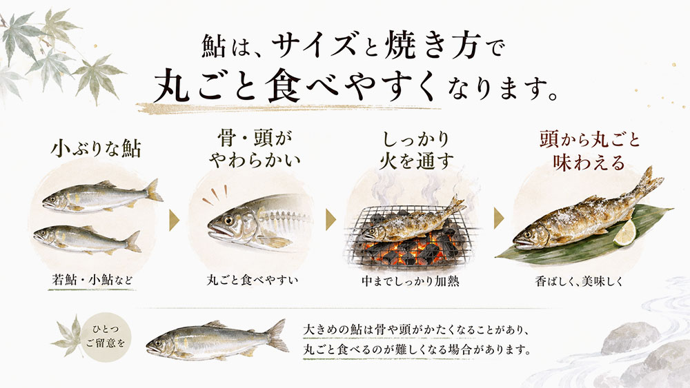 鮎の大きさによっては頭から丸ごと食べることができる
