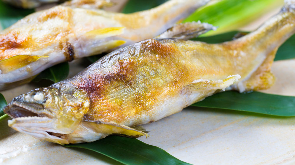 鮎の内臓が食べられる理由