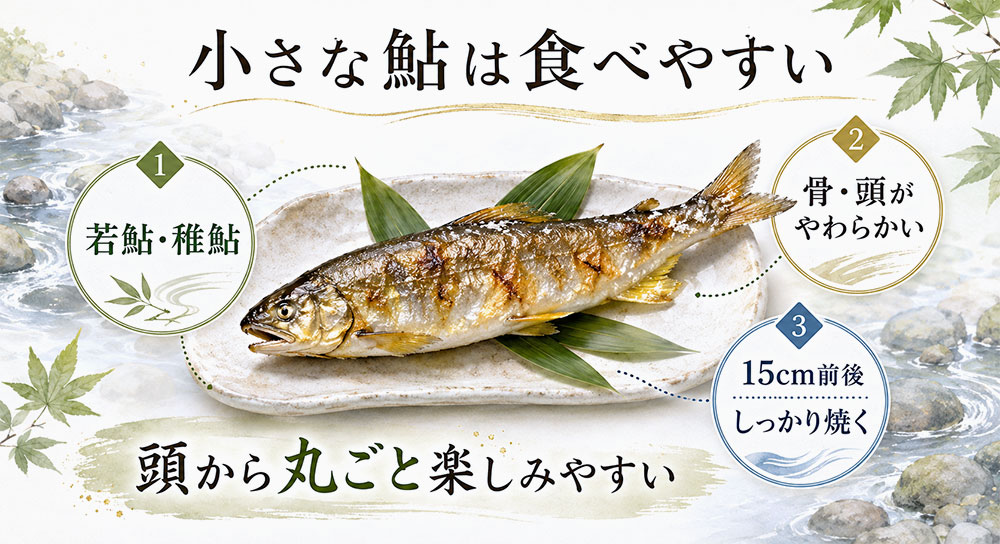 若鮎や稚鮎は骨や頭がやわらかい