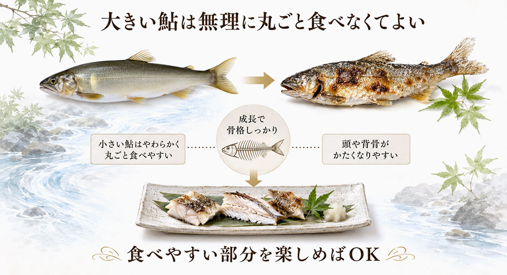 大きい鮎は骨や頭を無理に食べない