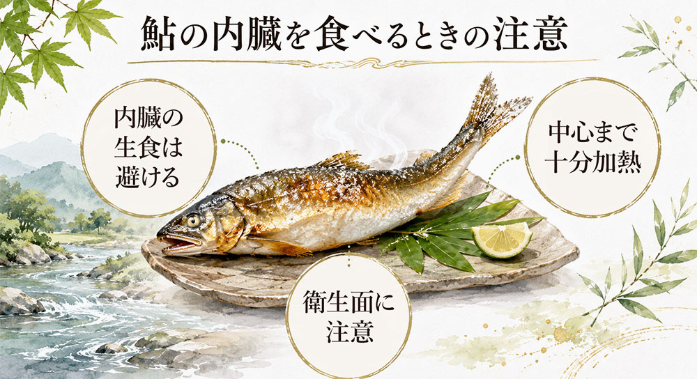 鮎の内臓を安全に食べるための注意点