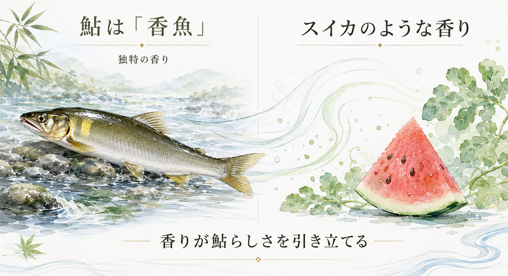 香魚と呼ばれる鮎ならではの香り