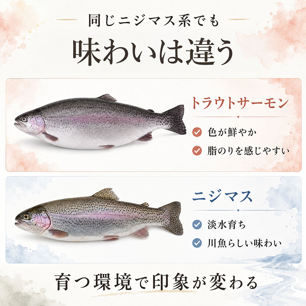 トラウトサーモンとニジマスの見た目・味・脂の違い