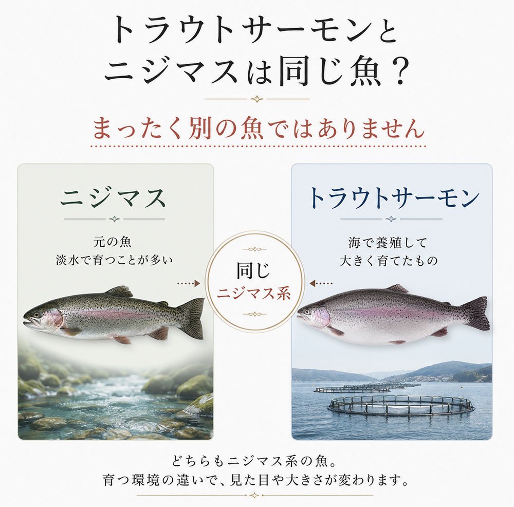 トラウトサーモンとニジマスは同じ魚?比較表で確認