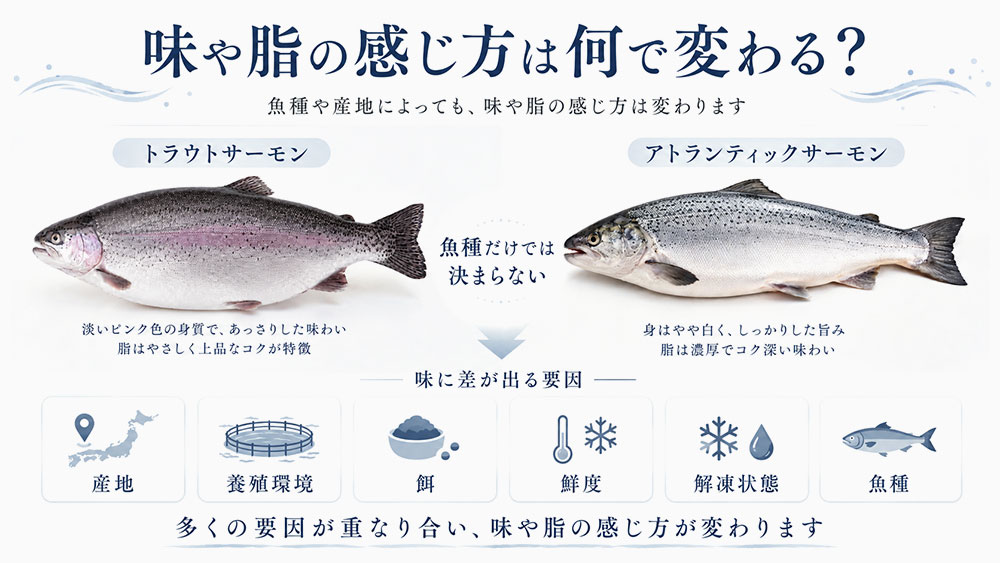 味や脂の感じ方は魚種や産地によっても変わる