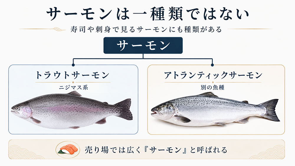 寿司や刺身で見るサーモンがニジマス系の場合もある