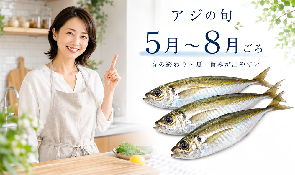 アジの旬は一般的に5月〜8月ごろ