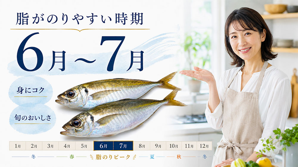 脂がのりやすいピークは6月〜7月ごろ