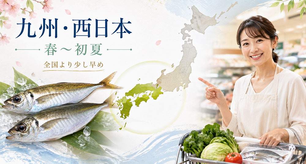 九州・西日本のアジは春から初夏に旬を迎えやすい