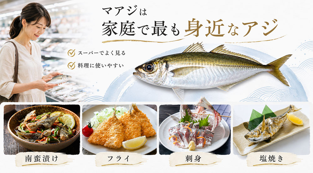 マアジは家庭で最も身近なアジ