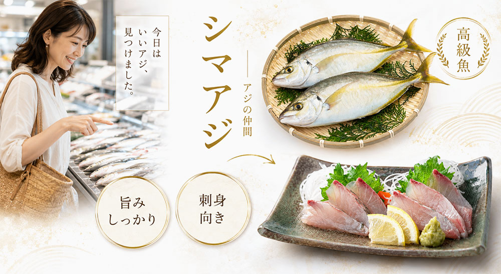シマアジは高級魚として扱われる