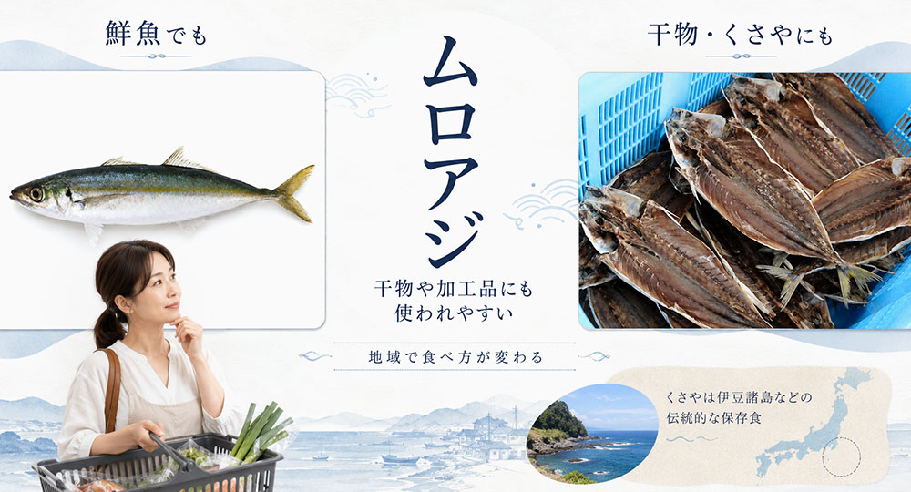 ムロアジは干物や加工品にも使われやすい