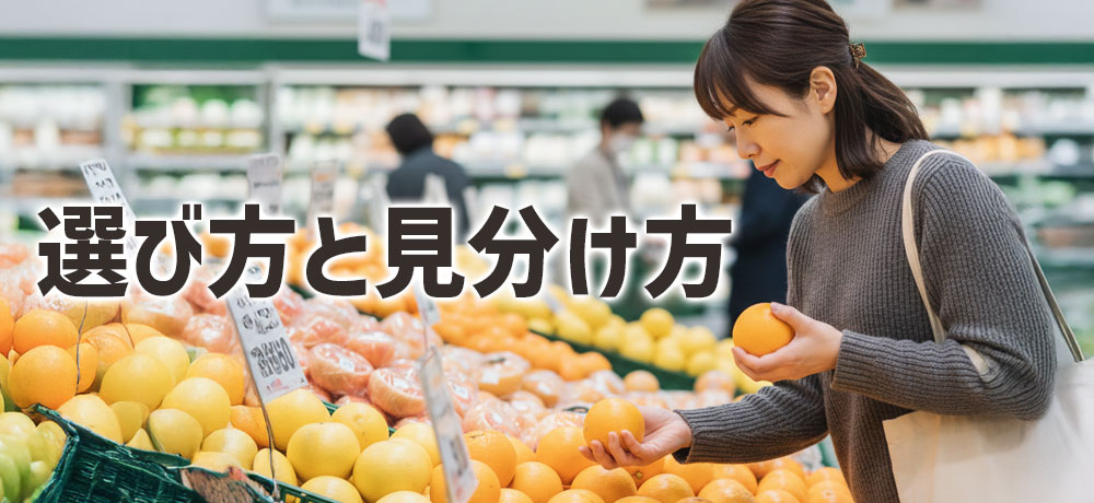 美味しいみかんとオレンジの選び方と見分け方