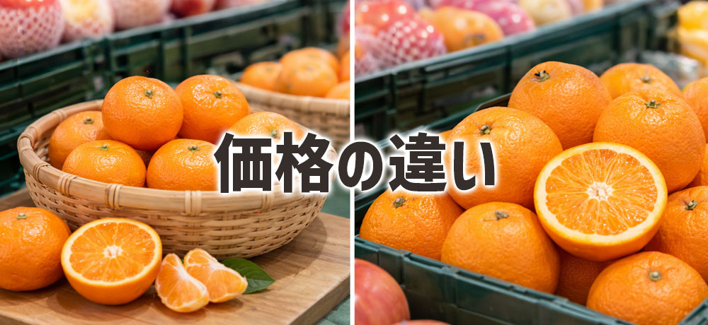 みかんとオレンジの価格の違い