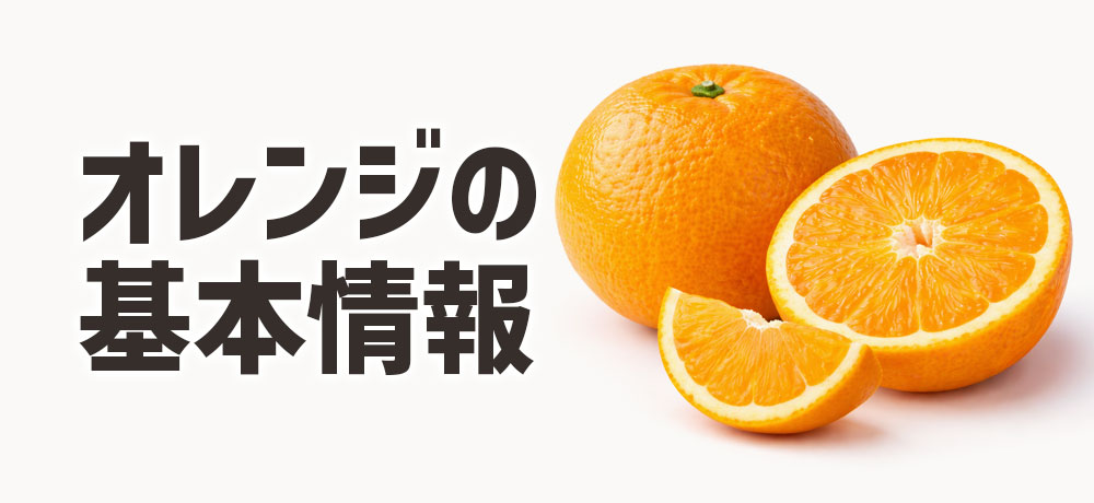 オレンジの基本情報