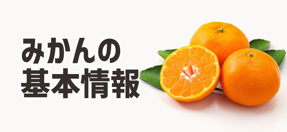 みかんの基本情報