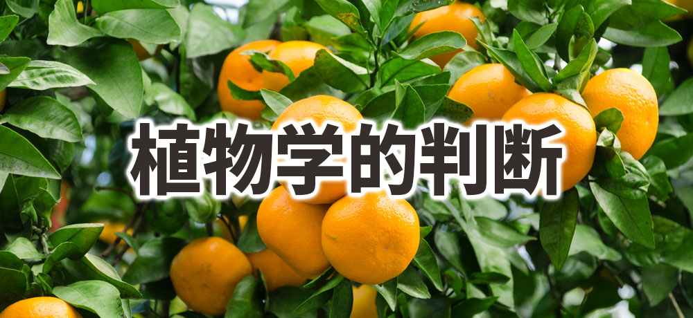 植物学的判断:部位・草木の種別から見る分類