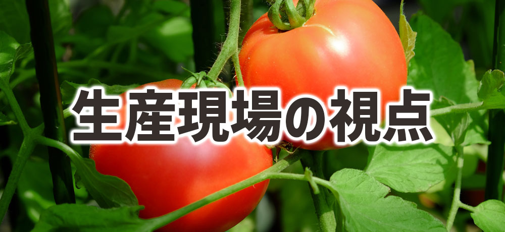 生産現場の視点:栽培年数・収穫方式で見る違い