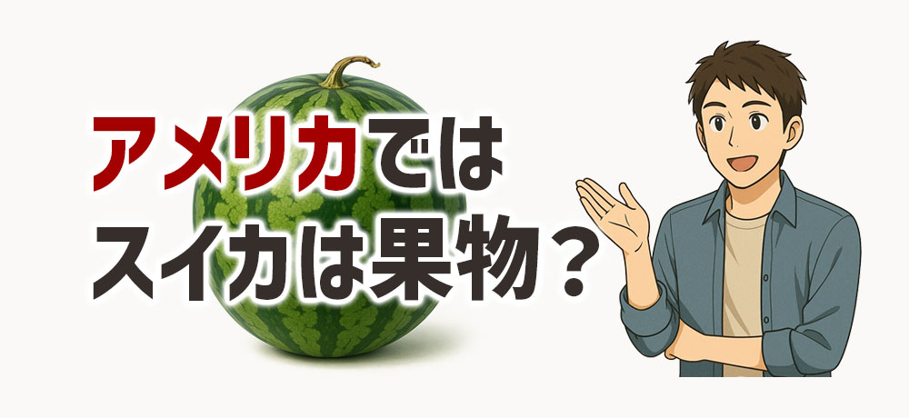 アメリカではスイカは果物?異なる分類ルール