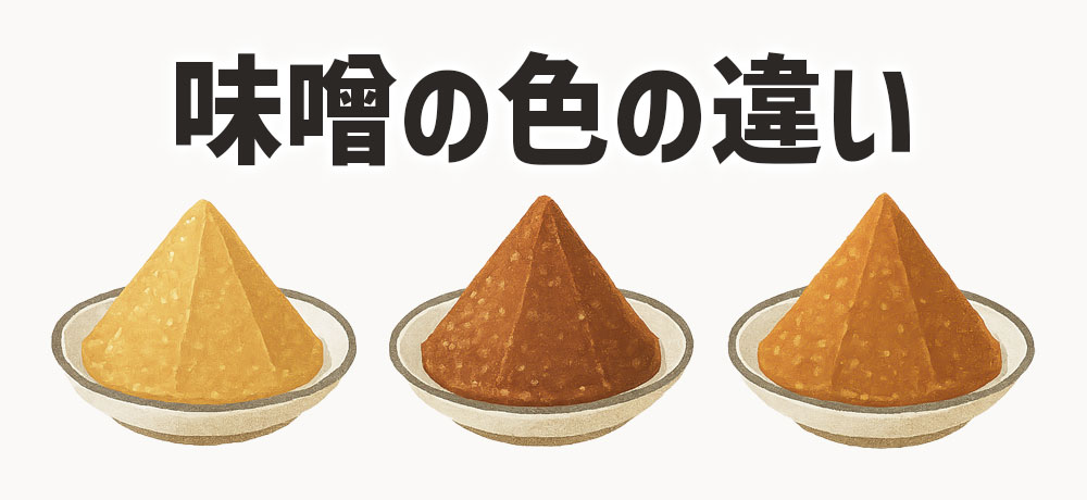 赤味噌・白味噌・淡色味噌の色の違い