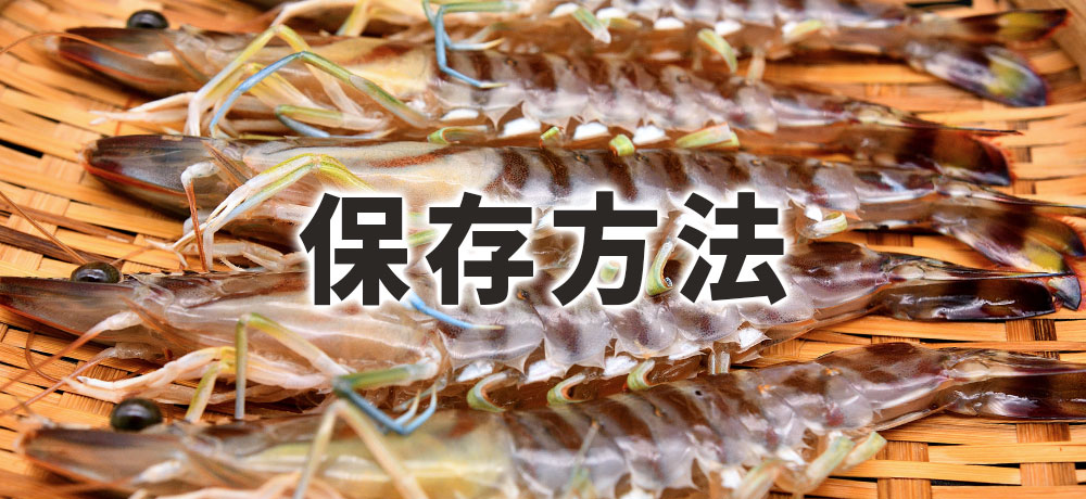 車海老を正しく保存する方法