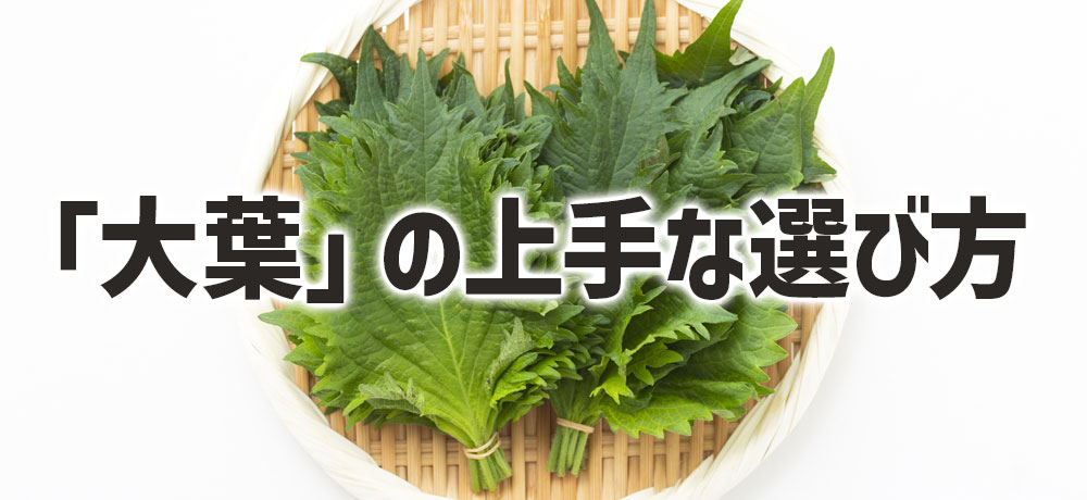「大葉」の上手な選び方