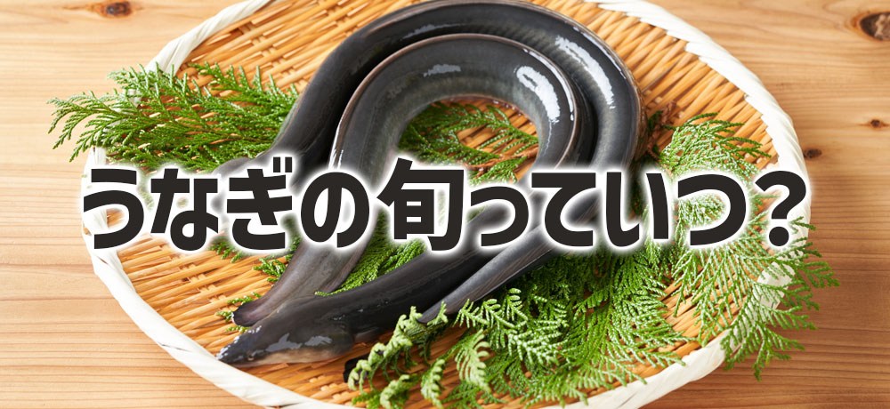 うなぎの旬っていつ?天然と養殖でどう違う?