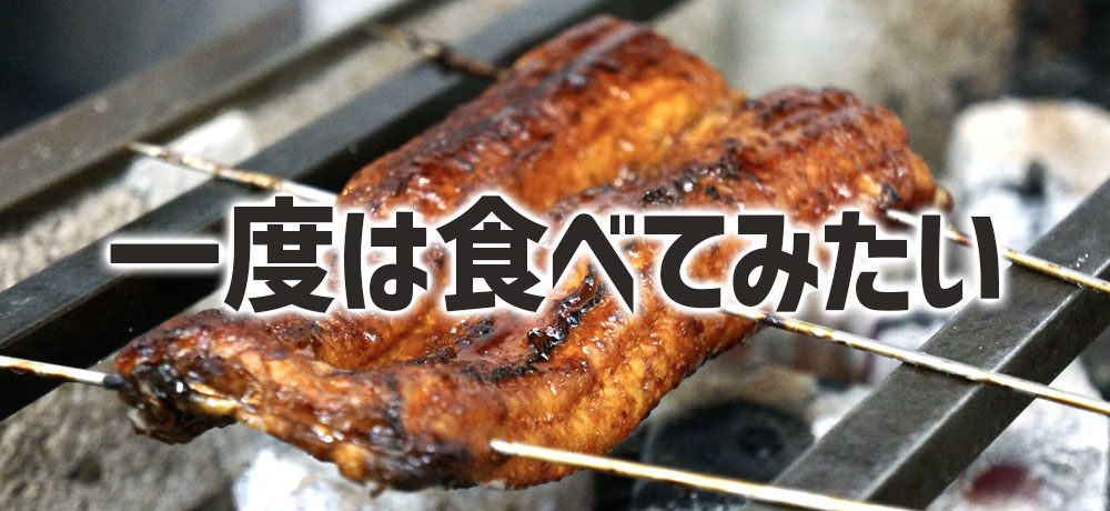 一度は食べてみたい 「新仔うなぎ」のとろける食感