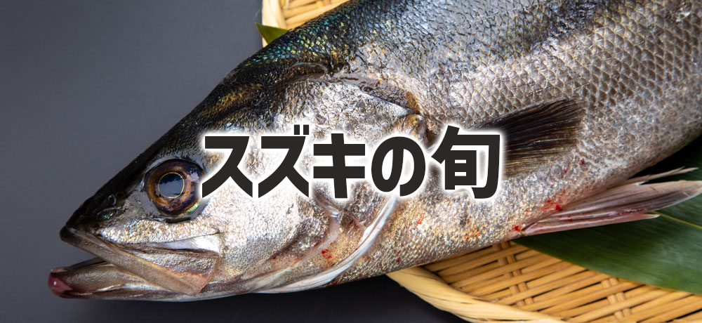 スズキの旬を知る