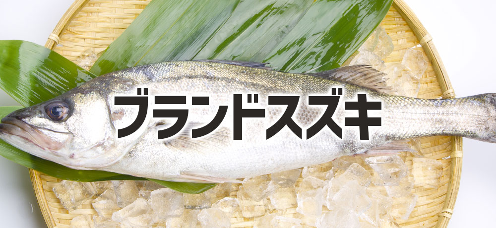 美味しさが際立つブランドスズキ（船橋の瞬〆スズキ）