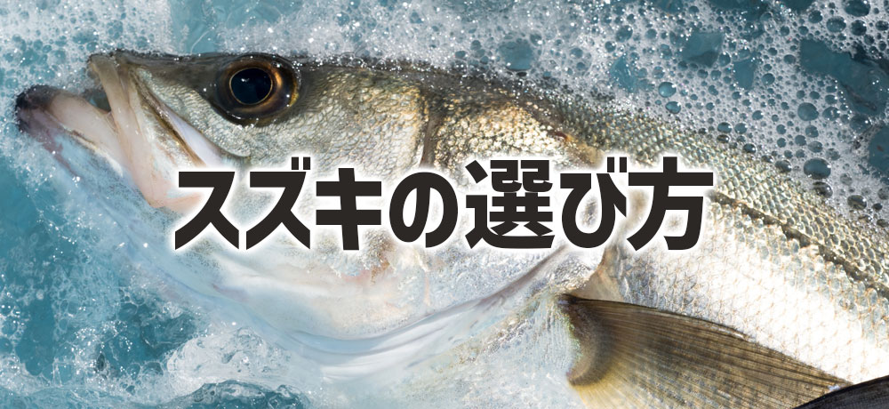 新鮮なスズキの選び方
