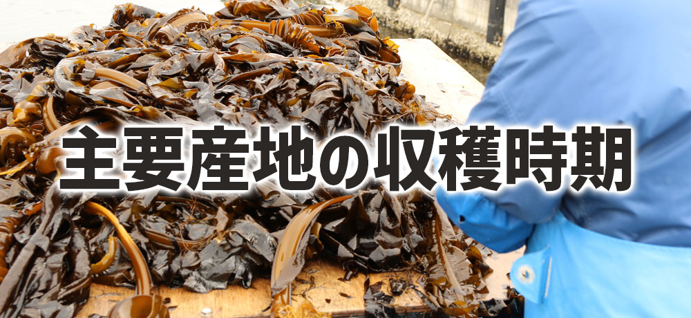 主要産地(三陸・鳴門)の収穫時期